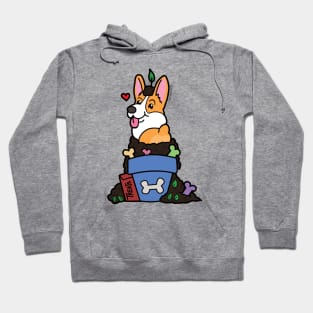 Flower Pot Full of Treats plus Corgi Hoodie